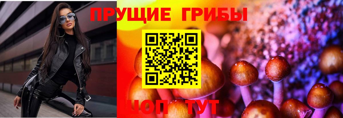 Псилоцибиновые грибы прущие грибы  Псилоцибиновые грибы ЛСД  наркота  Вход с VPN  Кызыл 